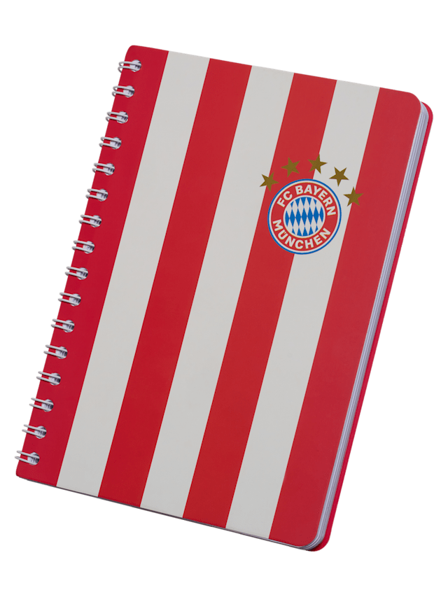 Safta MUNICH ROSA - Carpeta 4 Anillas De 35 Cm Con 100 Hojas