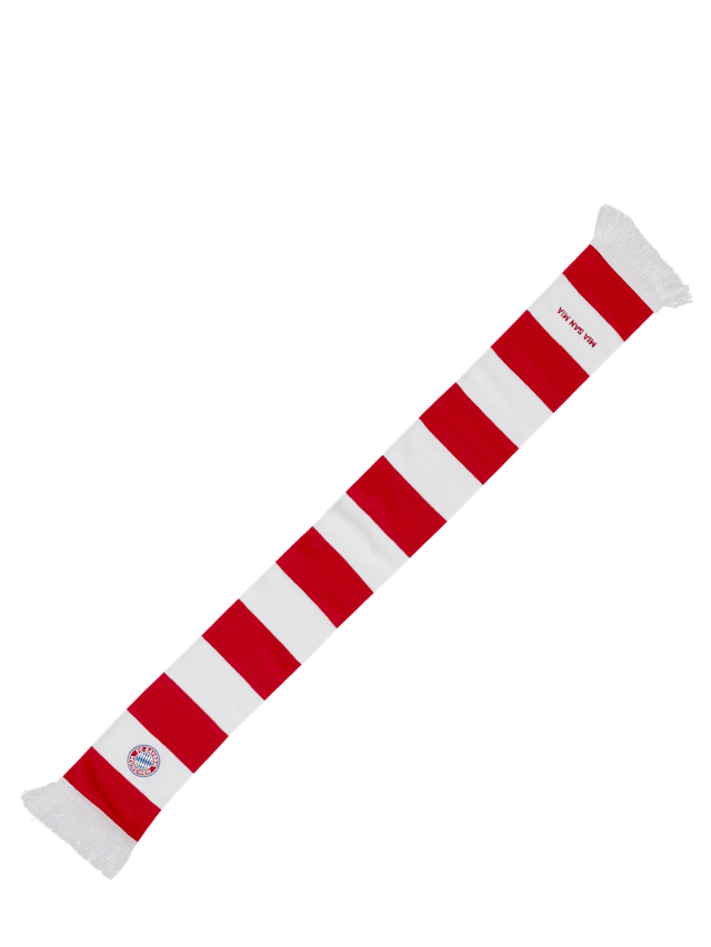 Unisex Classic scarf 1