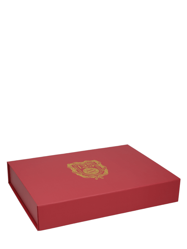 Trikotbox 125 Jahre 31x22,5x5 cm 1