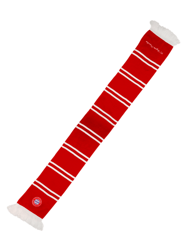 Schal Stadionkollektion 1