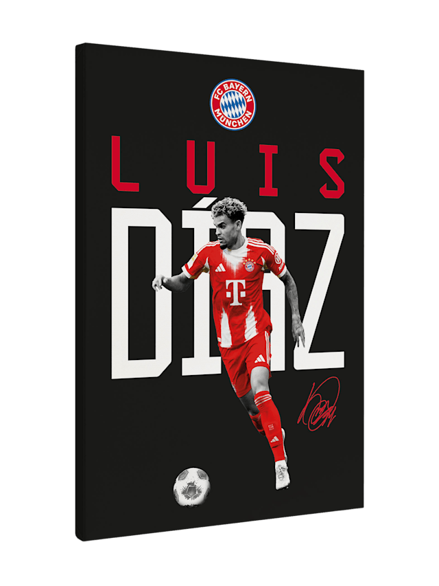 Leinwand Luis Dìaz 40x60 cm 1