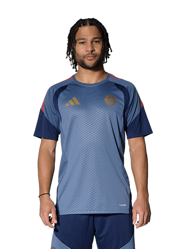 Unisexe Maillot d'entraînement Teamline 1