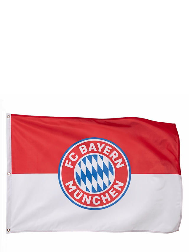 Flag Logo 180x120 cm 1
