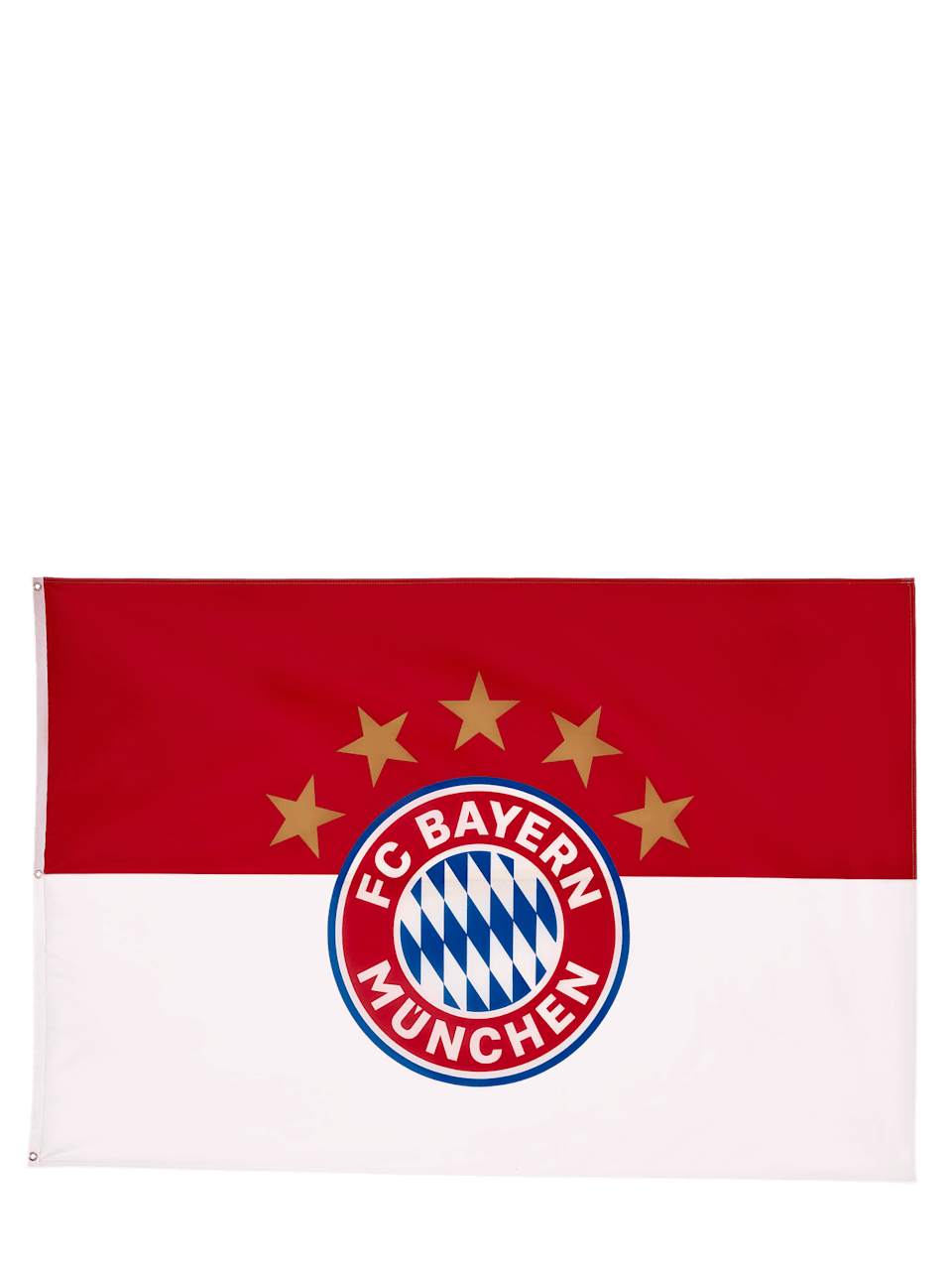 Hissfahne Logo 180 x 120 cm 1