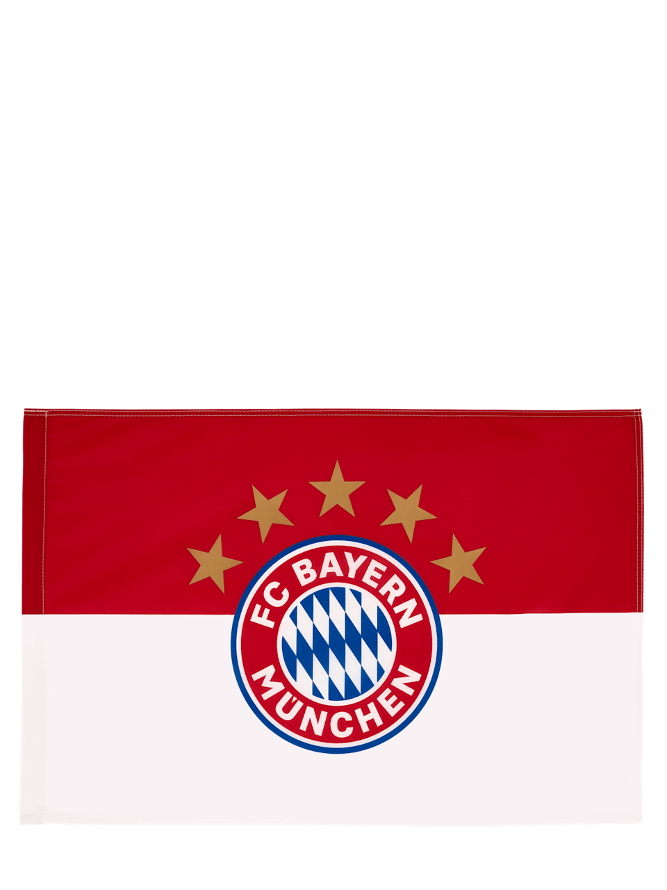 Flag logo 90 x 60 cm 1