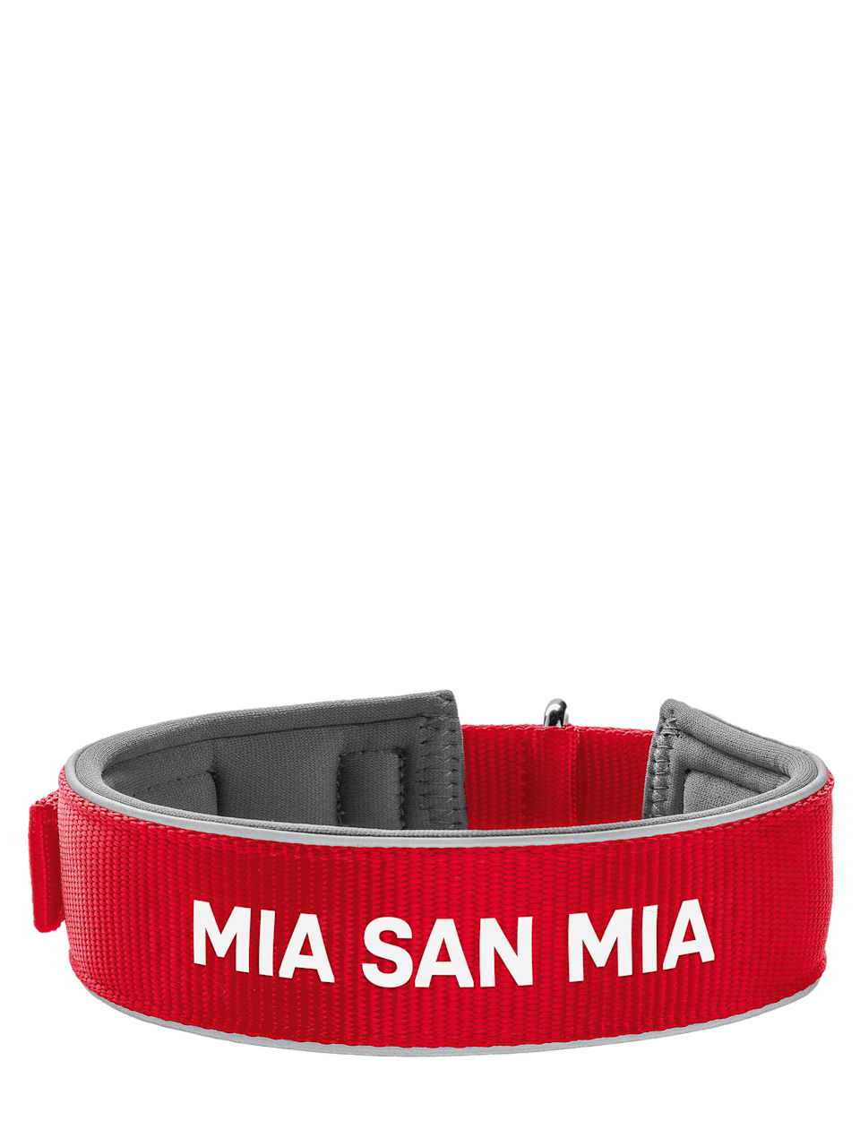 FC Bayern neoprene dog collar 1