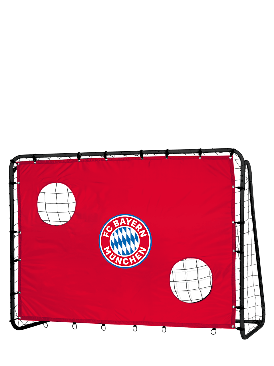 Fußballtor mit Torwand 1