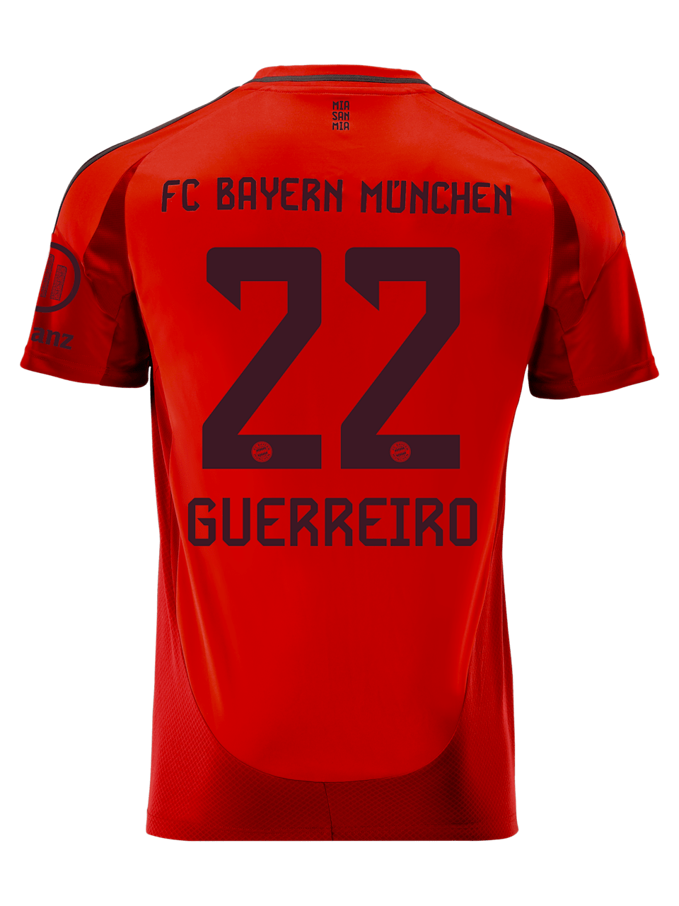 Raphaël Guerreiro Men Jersey Home 24-25 1