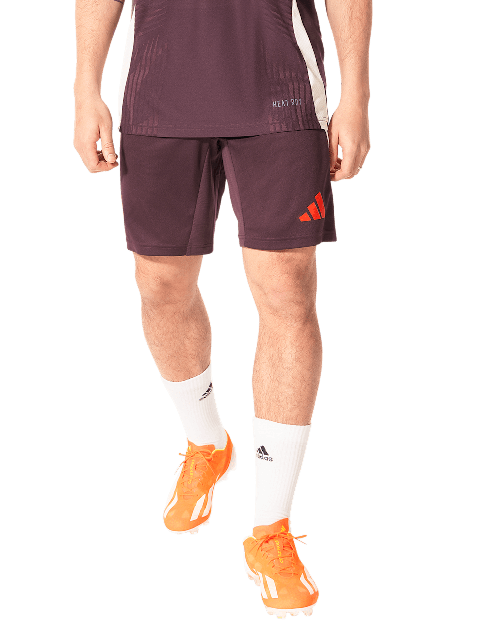 Men PRO training shorts Teamline 1