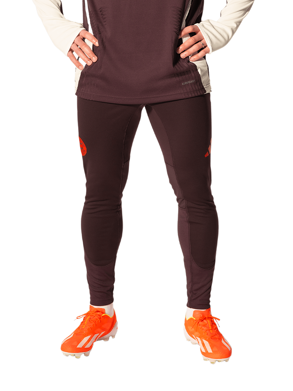Men PRO training pants Teamline 1