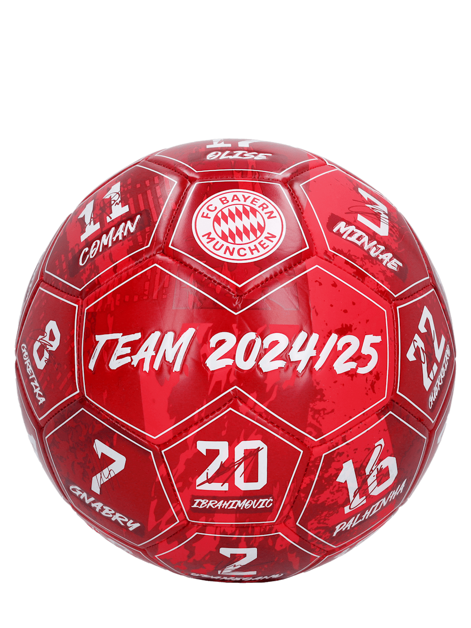 Ball Signature 2024-25 1