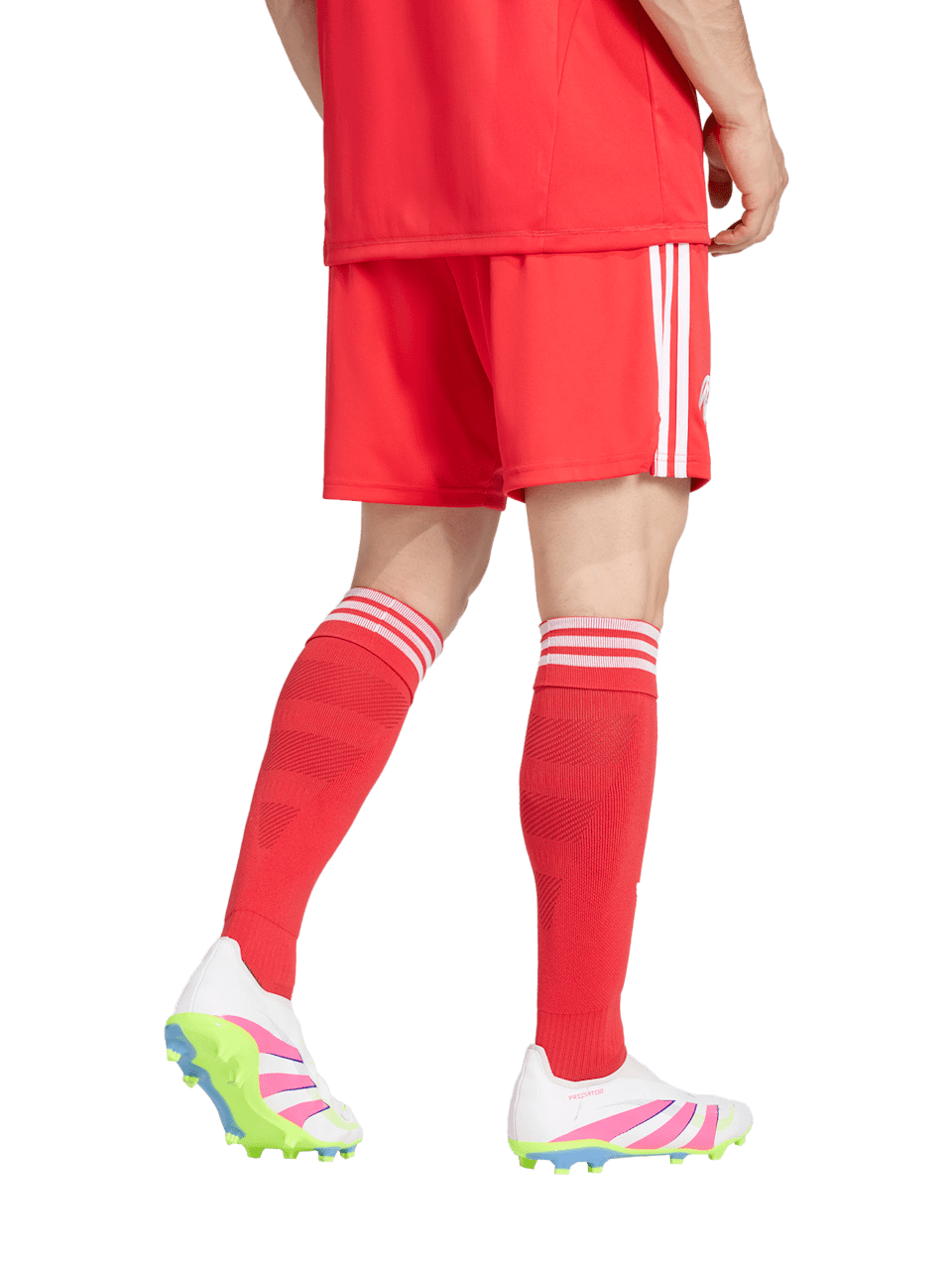 Hommes Short Torwart UCL 25-26 1