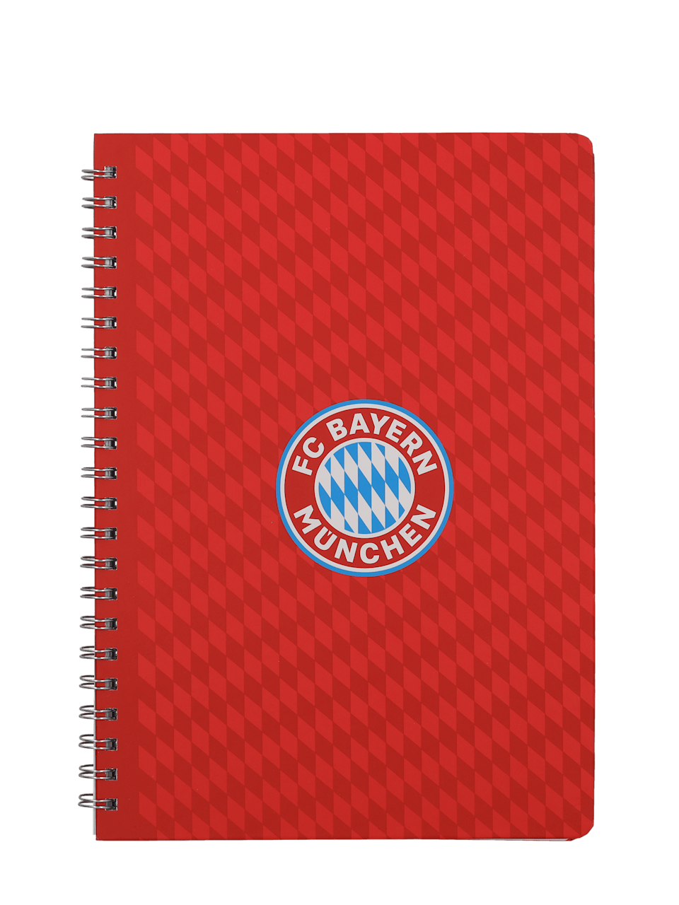 Kinder Ringbuch A4 Logo 1