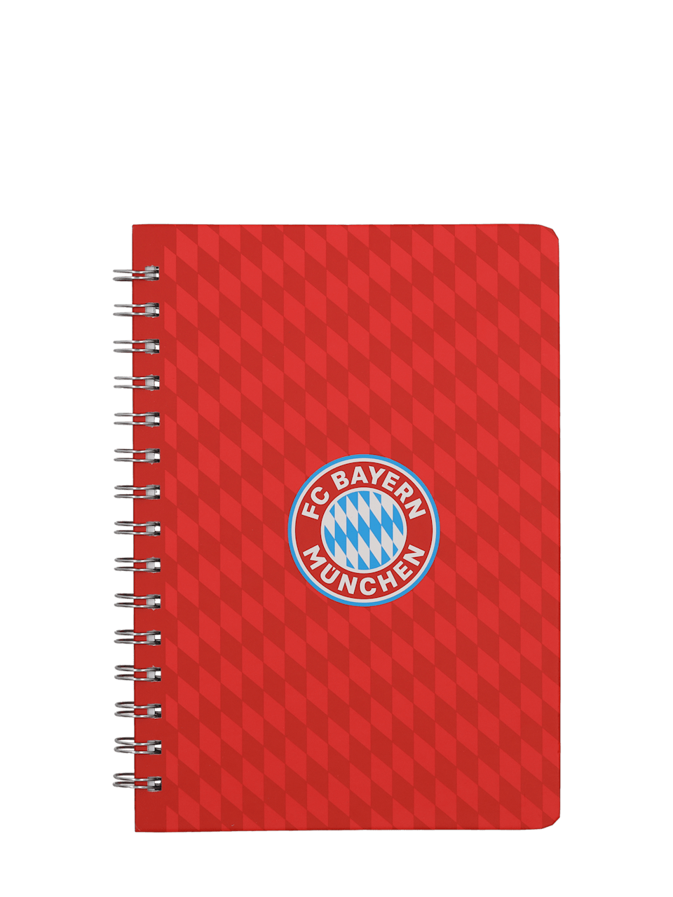 Kinder Ringbuch A5 Logo 1