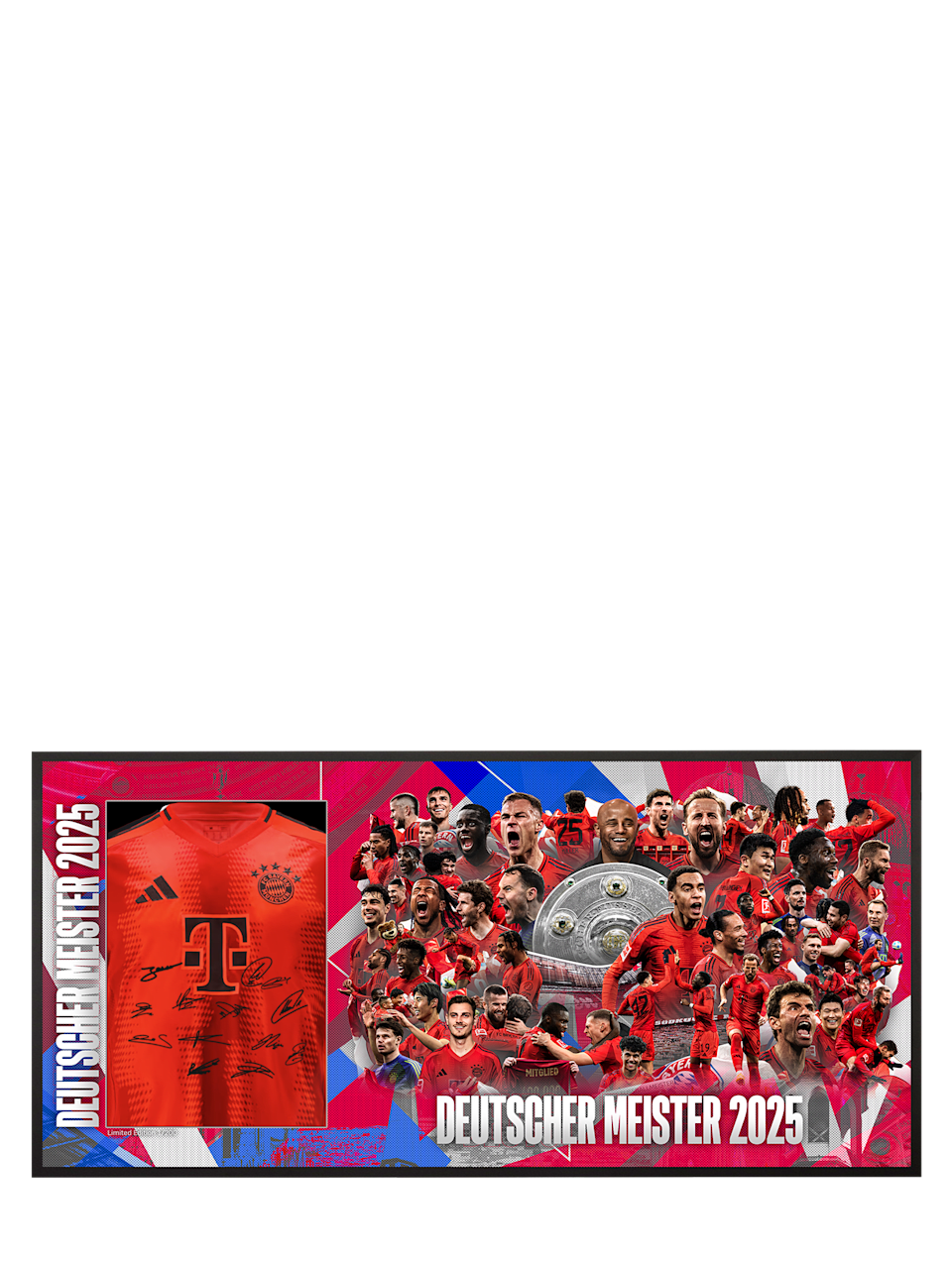 Trikotrahmen Team 2024-25 1