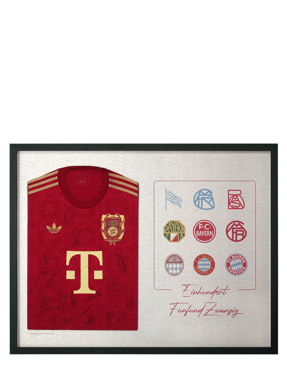 Trikotrahmen 125 Jahre 1