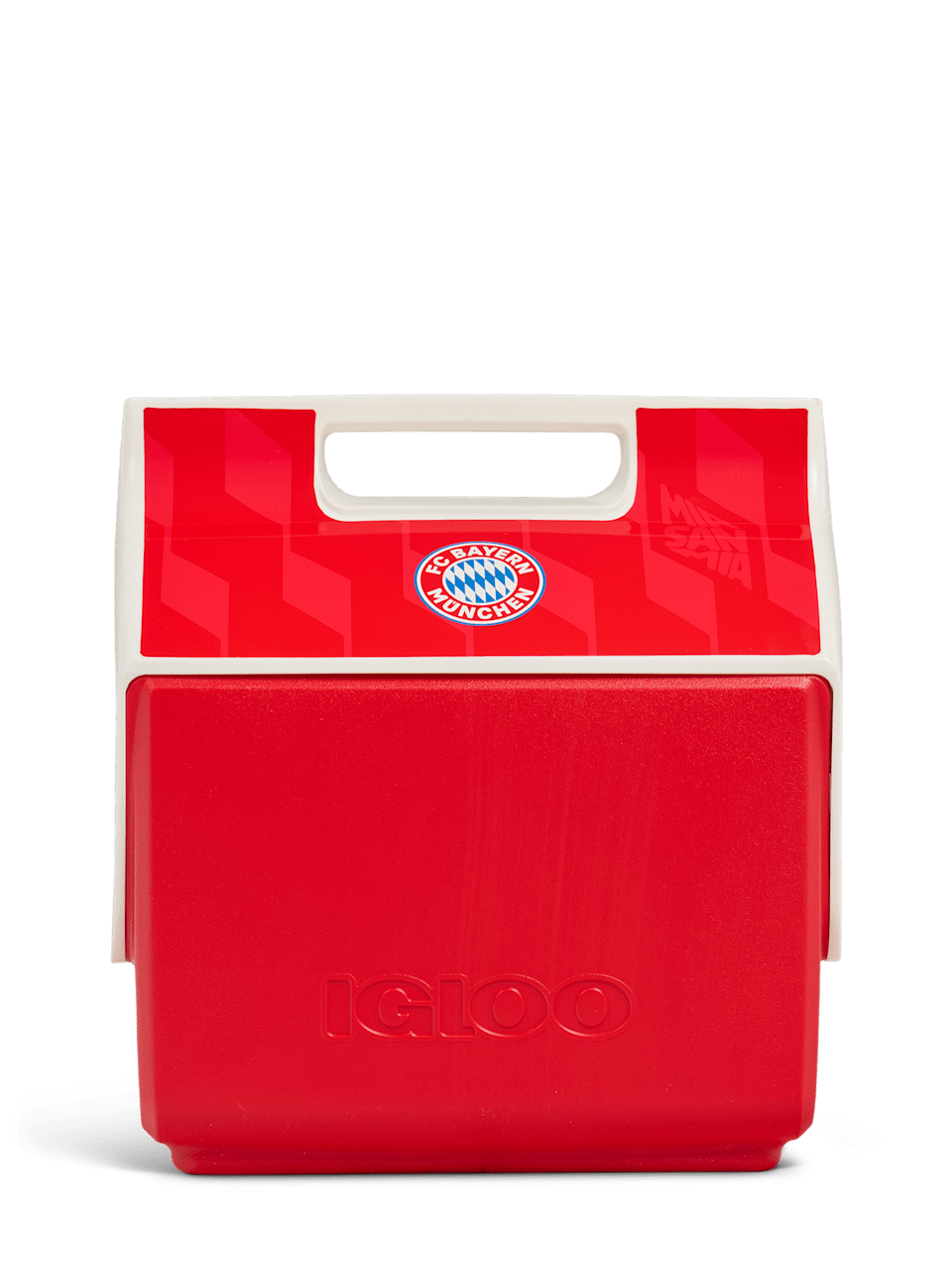 Kühlbox 1