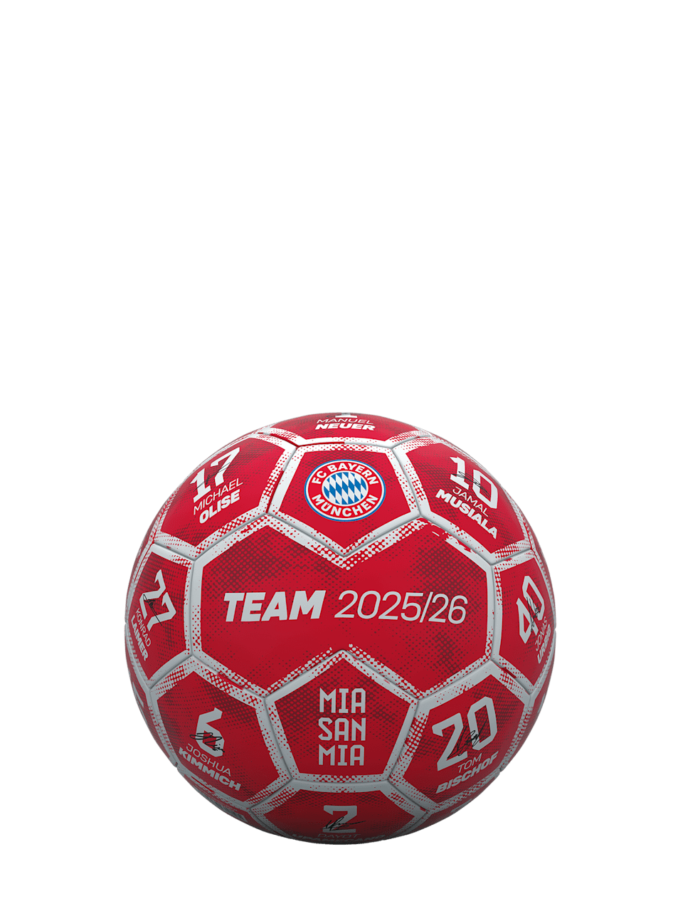 Mini-Fußball Signature 2025-26 1