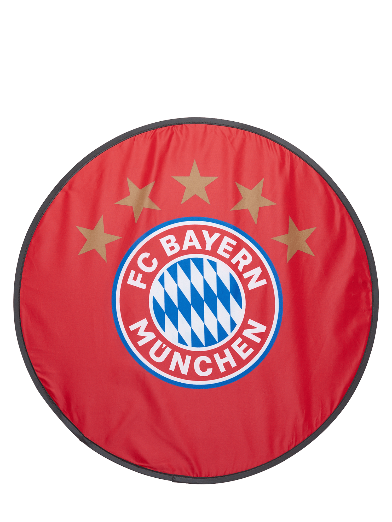 fc bayern chinese new year