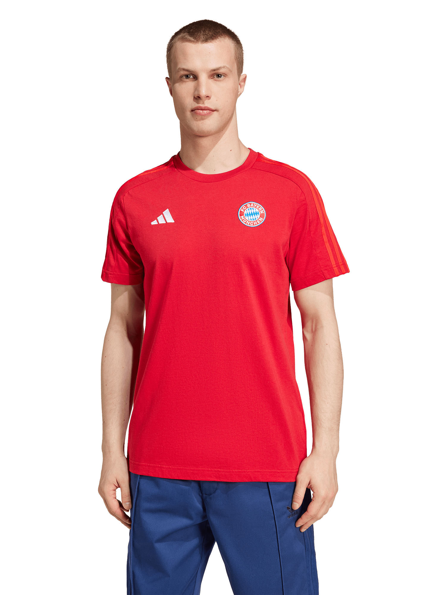 Herren T Shirt DNA Bordeaux Offizieller FC Bayern Store