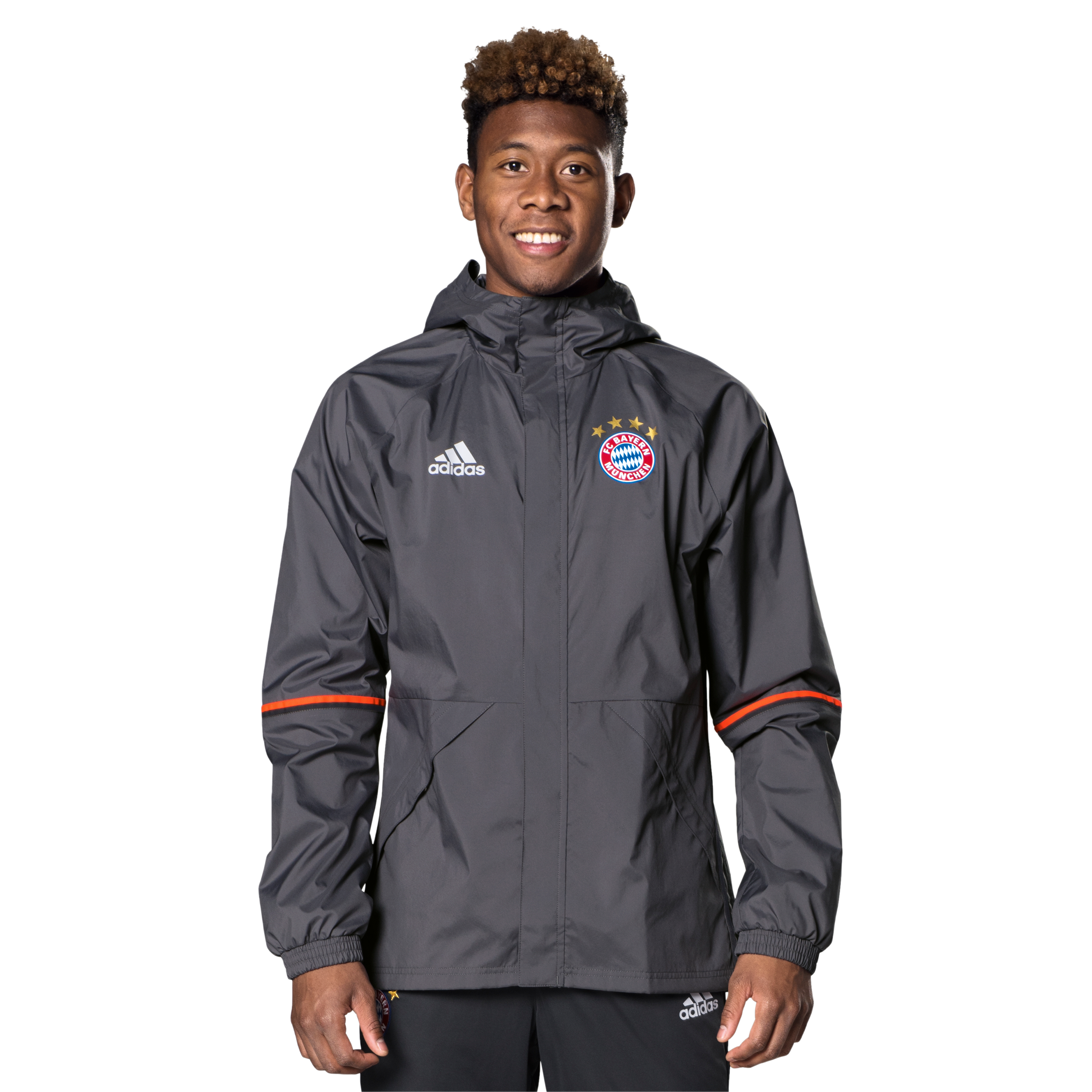 tahari soft shell jacket