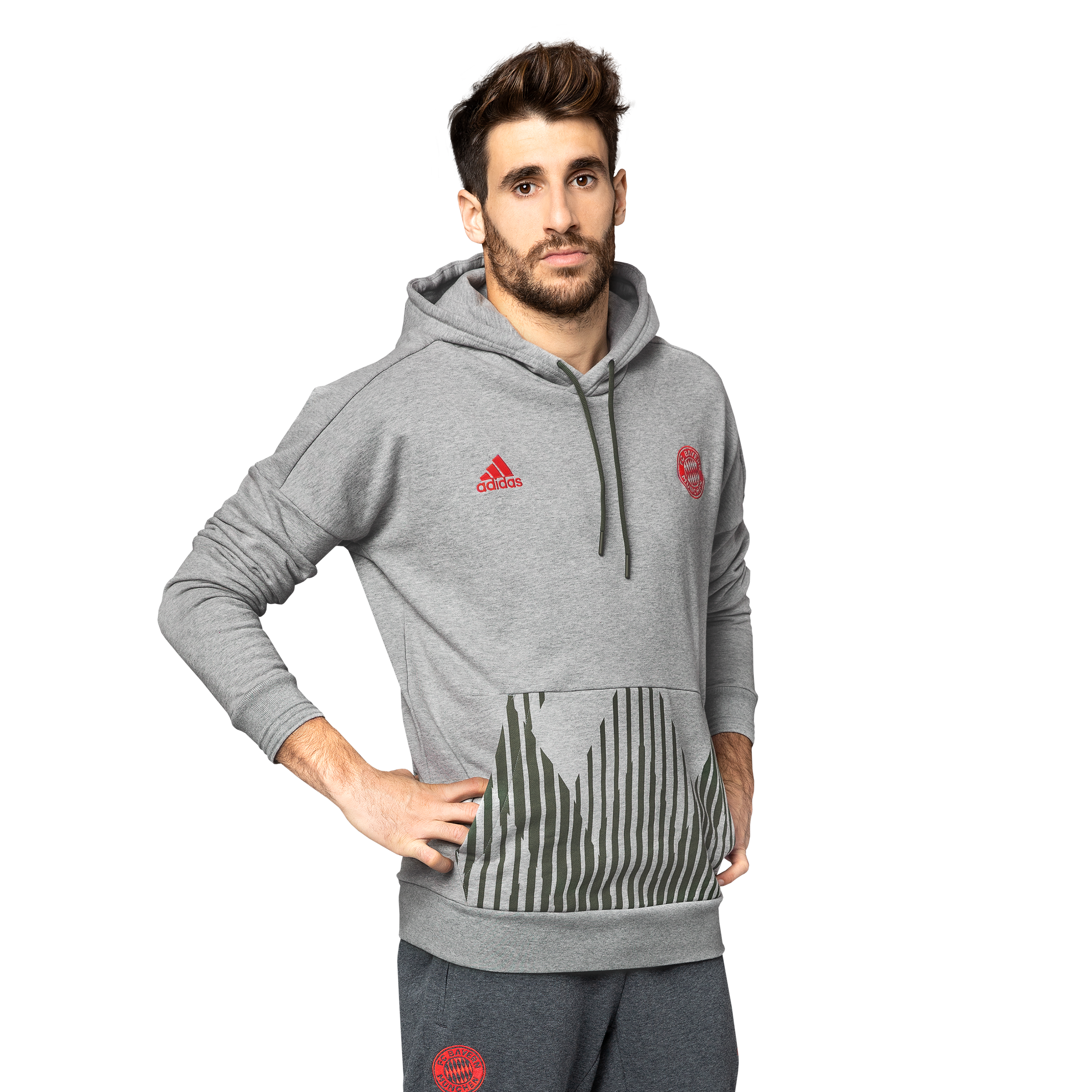 adidas lifestyle hoodie