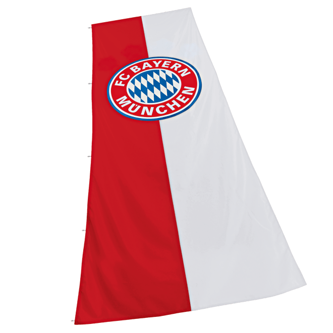 Hoisting Flag Logo XL Hoisting Flag Logo XL