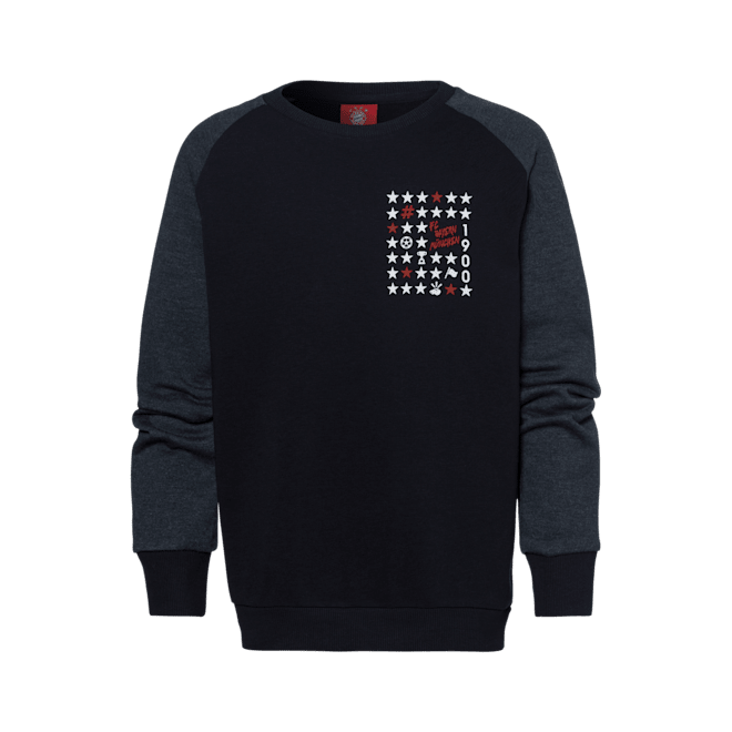 Sudadera Icons Niños Sudadera Icons Niños