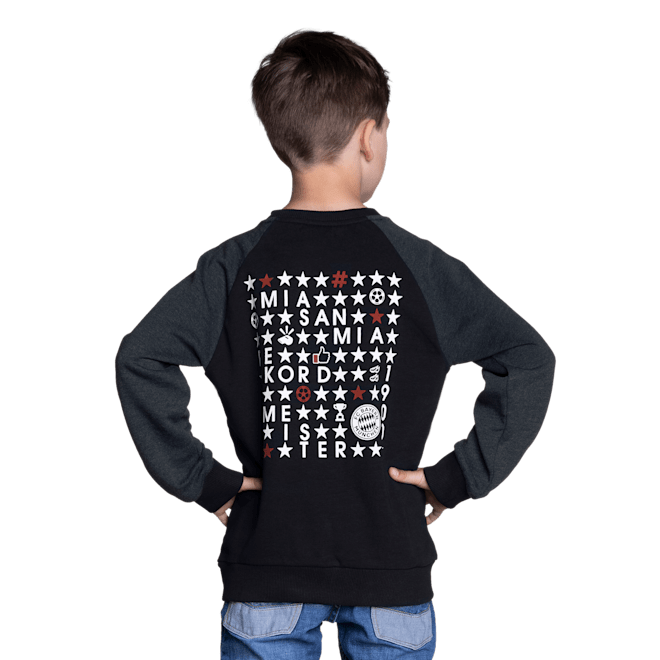 Sudadera Icons Niños Sudadera Icons Niños