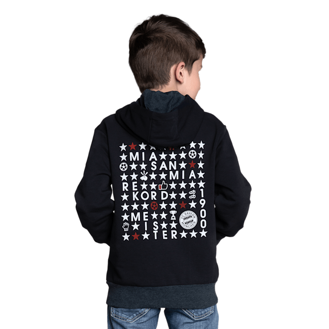 Kids Hoodie Icon Kids Hoodie Icon