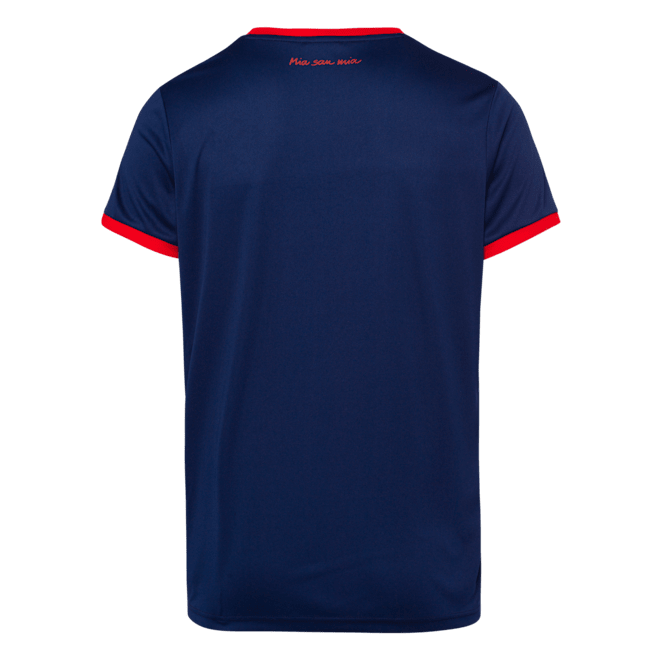 Polyshirt Logo Polyshirt Logo
