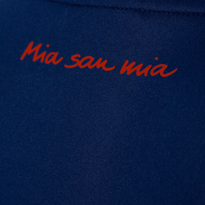 Polyshirt Logo Polyshirt Logo