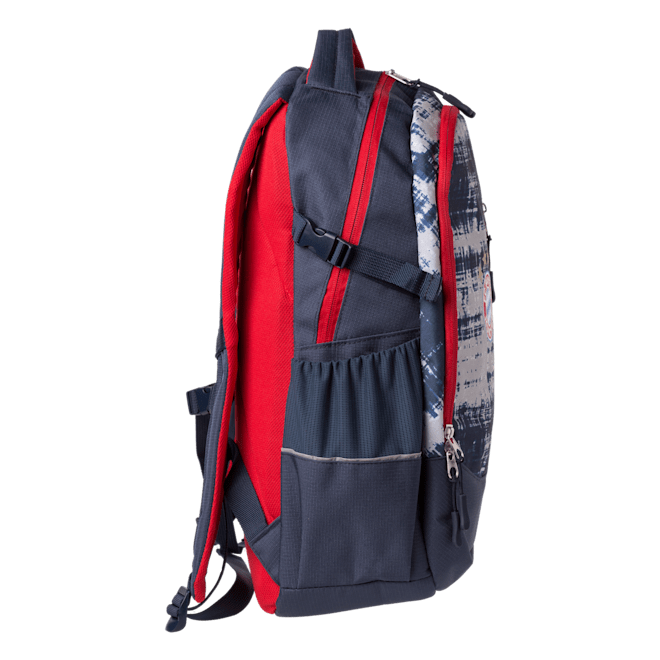 School Backpack School Backpack