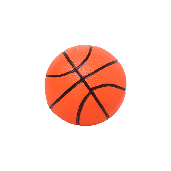 Mini canasta de basketball con mini pelota incluida Mini canasta de basketball con mini pelota incluida