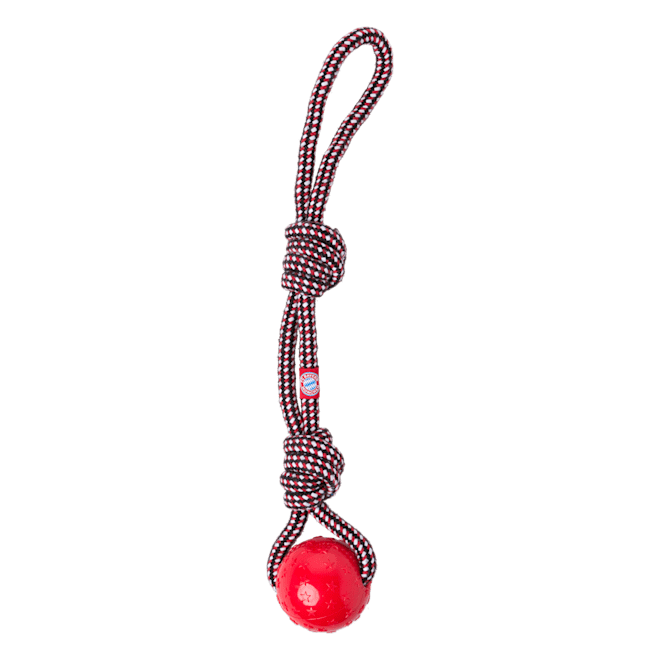 Toy Ball With Throwing Rope Toy Ball With Throwing Rope