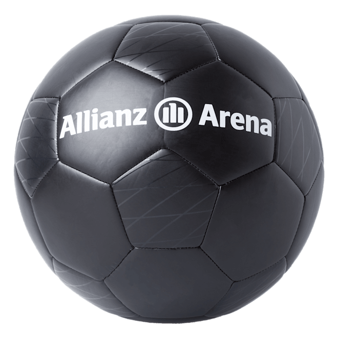 Arena Ball Arena Ball