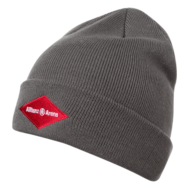Arena Beanie Arena Beanie