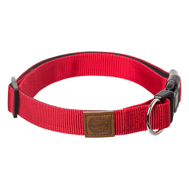 Hundehalsband L/XL (45-60cm) Hundehalsband L/XL (45-60cm)