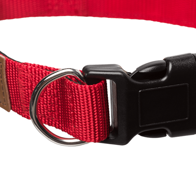 Hundehalsband L/XL (45-60cm) Hundehalsband L/XL (45-60cm)
