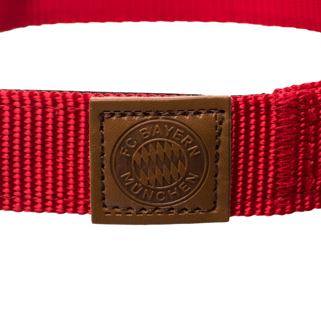 Hundehalsband L/XL (45-60cm) Hundehalsband L/XL (45-60cm)