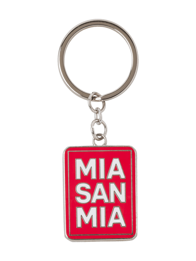 Key Ring Chip Key Ring Chip