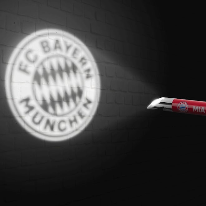 Key Ring Torch Key Ring Torch