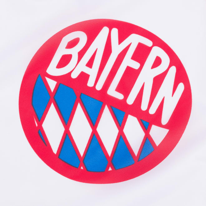Flag Logo Historie Flag Logo Historie