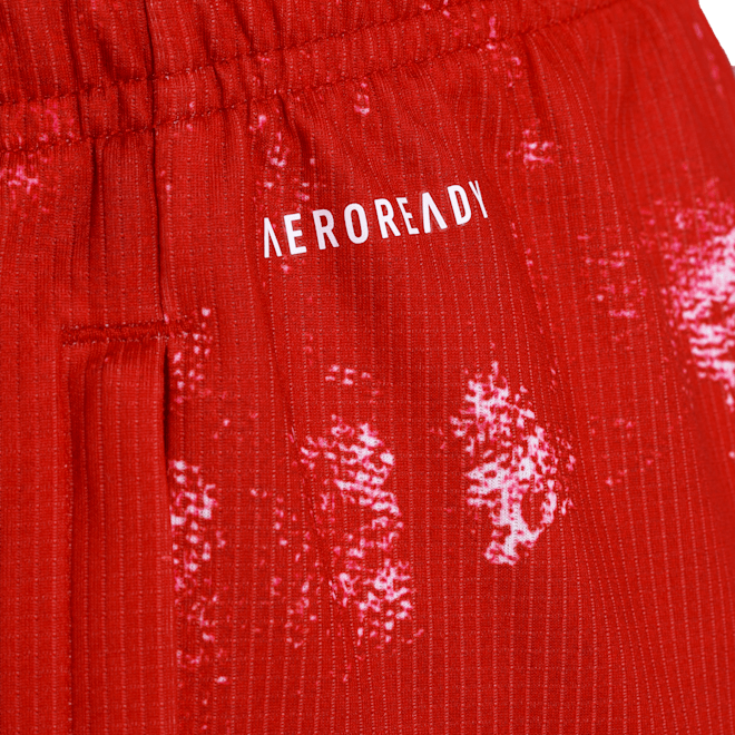 Pantalones cortos de Human Race niño FC Bayern München Pantalones cortos de Human Race niño FC Bayern München