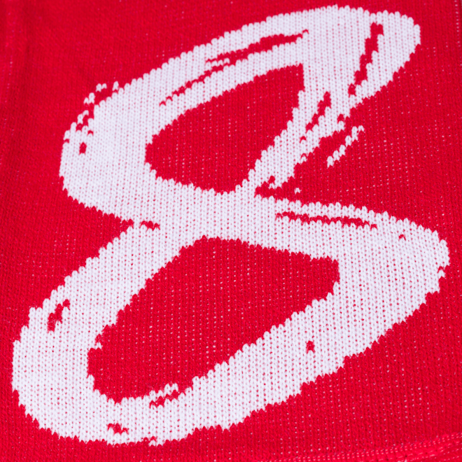 Schal Deutscher Meister 2020 Schal Deutscher Meister 2020