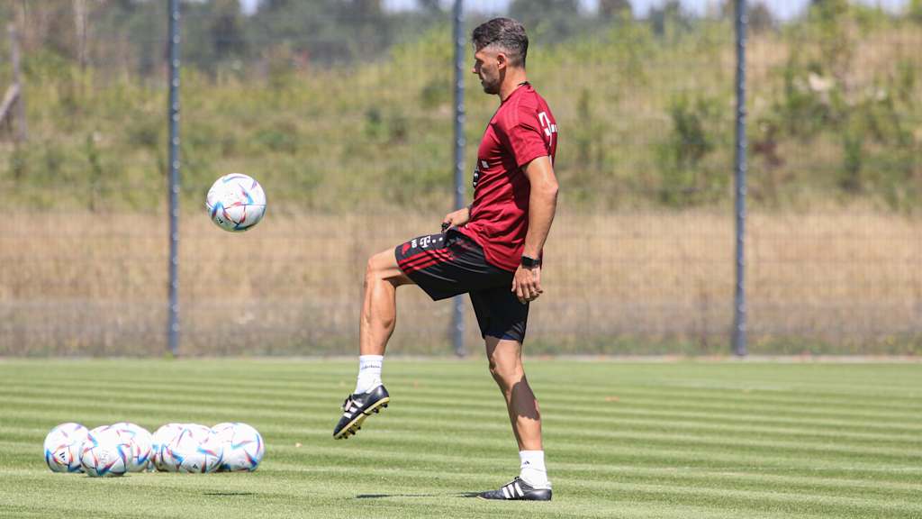 Martín Demichelis