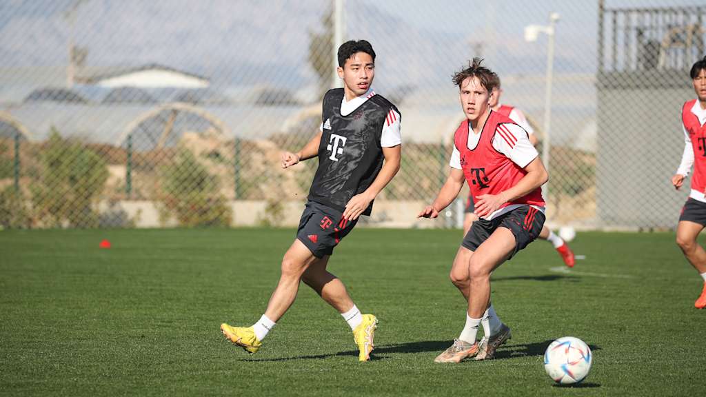FC Bayern Amateure, Lee