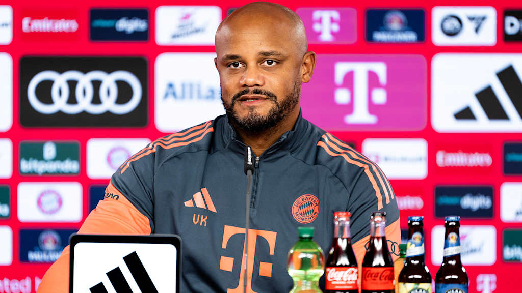 Vincent Kompany in the Allianz Arena