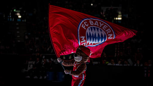 Bilder vom BBL-Heimspiel gegen den MBC