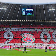 Bayern Fan tifos